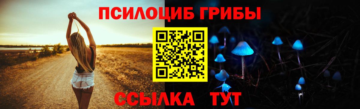 Галлюциногенные грибы ЛСД Тобольск